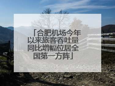 合肥机场今年以来旅客吞吐量同比增幅位居全国第一方阵