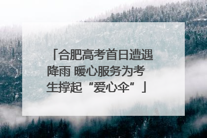合肥高考首日遭遇降雨 暖心服务为考生撑起“爱心伞”