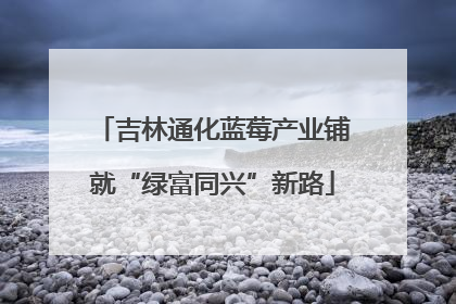 吉林通化蓝莓产业铺就“绿富同兴”新路