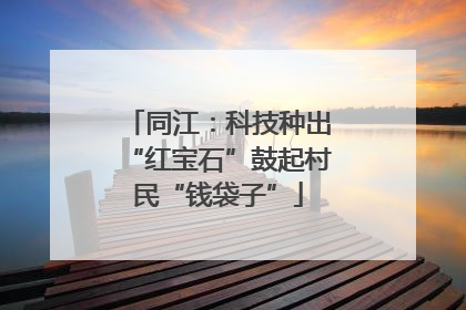 同江：科技种出“红宝石”鼓起村民“钱袋子”