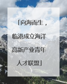 向海而生，临港成立海洋高新产业青年人才联盟