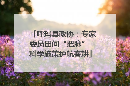 呼玛县政协：专家委员田间“把脉” 科学施策护航春耕