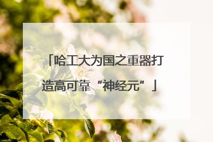哈工大为国之重器打造高可靠“神经元”