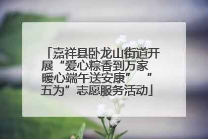 嘉祥县卧龙山街道开展“爱心粽香到万家 暖心端午送安康” “五为”志愿服务活动