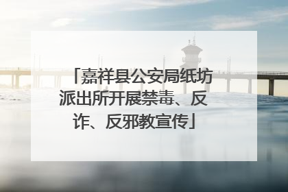 嘉祥县公安局纸坊派出所开展禁毒、反诈、反邪教宣传