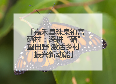 嘉禾县珠泉镇富硒村：深耕“硒”望田野 激活乡村振兴新动能