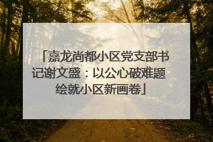 嘉龙尚都小区党支部书记谢文盛：以公心破难题 绘就小区新画卷