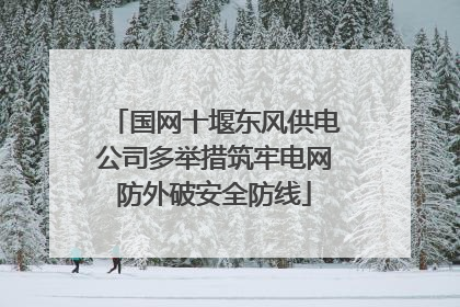 国网十堰东风供电公司多举措筑牢电网防外破安全防线