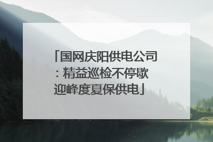 国网庆阳供电公司：精益巡检不停歇 迎峰度夏保供电