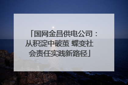 国网金昌供电公司：从积淀中破茧 蝶变社会责任实践新路径