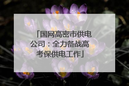 国网高密市供电公司：全力备战高考保供电工作