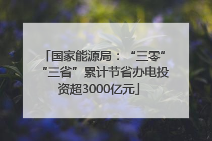 国家能源局：“三零”“三省”累计节省办电投资超3000亿元