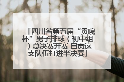 四川省第五届“贡嘎杯”男子排球（初中组）总决赛开赛 自贡这支队伍打进半决赛