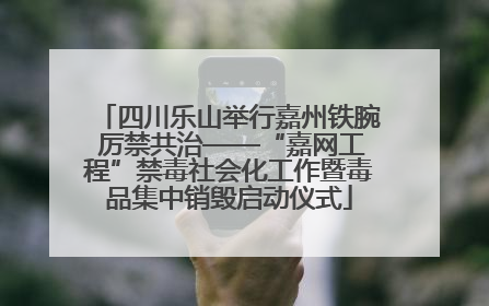四川乐山举行嘉州铁腕 厉禁共治——“嘉网工程”禁毒社会化工作暨毒品集中销毁启动仪式