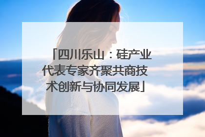 四川乐山：硅产业代表专家齐聚共商技术创新与协同发展
