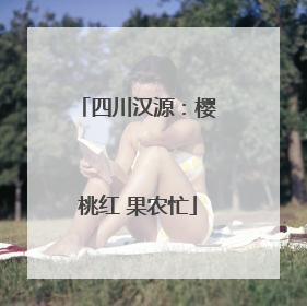 四川汉源：樱桃红 果农忙