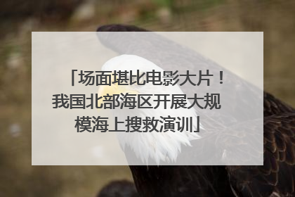 场面堪比电影大片！我国北部海区开展大规模海上搜救演训