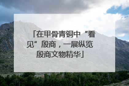 在甲骨青铜中“看见”殷商，一展纵览殷商文物精华