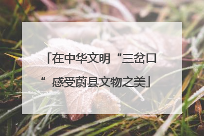 在中华文明“三岔口”感受蔚县文物之美
