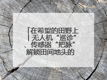 在希望的田野上丨无人机“巡诊”、传感器“把脉” 解锁田间地头的丰收密码