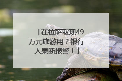 在拉萨取现49万元旅游用？银行人果断报警！