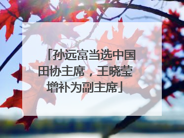 孙远富当选中国田协主席，王晓莹增补为副主席