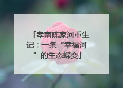 孝南陈家河重生记：一条“幸福河”的生态蝶变