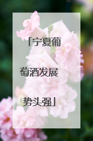 宁夏葡萄酒发展势头强