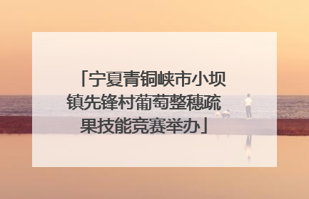 宁夏青铜峡市小坝镇先锋村葡萄整穗疏果技能竞赛举办