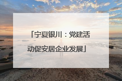 宁夏银川：党建活动促安居企业发展