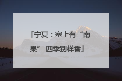宁夏：塞上有“南果” 四季别样香