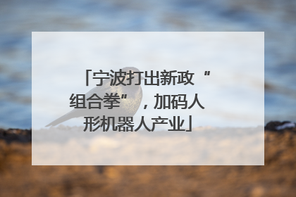 宁波打出新政“组合拳”，加码人形机器人产业