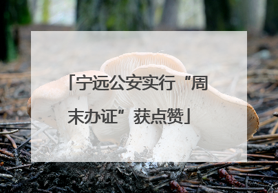 宁远公安实行“周末办证”获点赞