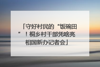 守好村民的“饭碗田”！桐乡村干部凭啥亮相国新办记者会