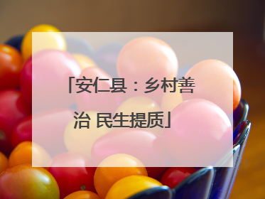 安仁县：乡村善治 民生提质