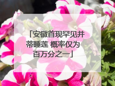 安徽首现罕见并蒂睡莲 概率仅为百万分之一