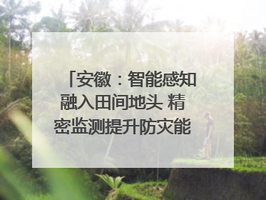 安徽：智能感知融入田间地头 精密监测提升防灾能力｜增发国债气象项目落地见效系列报道