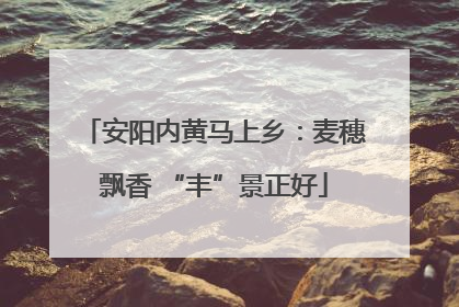 安阳内黄马上乡：麦穗飘香 “丰”景正好