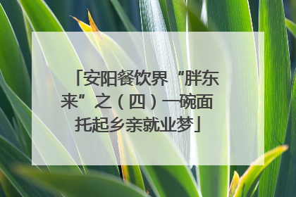 安阳餐饮界“胖东来”之（四）一碗面托起乡亲就业梦