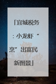 宜城税务：小龙虾“烹”出富民新图景