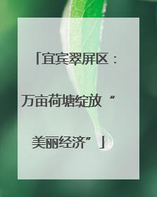 宜宾翠屏区：万亩荷塘绽放“美丽经济”