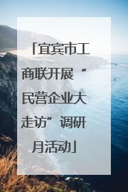宜宾市工商联开展“民营企业大走访”调研月活动