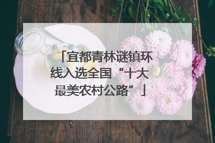 宜都青林谜镇环线入选全国“十大最美农村公路”