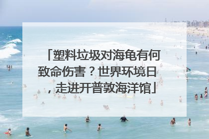塑料垃圾对海龟有何致命伤害？世界环境日，走进开普敦海洋馆