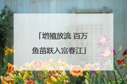 增殖放流 百万鱼苗跃入富春江