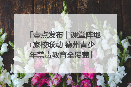 壹点发布｜课堂阵地+家校联动 德州青少年禁毒教育全覆盖
