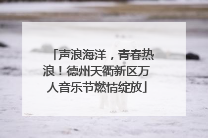 声浪海洋，青春热浪！德州天衢新区万人音乐节燃情绽放