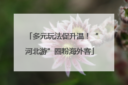 多元玩法促升温！“河北游”圈粉海外客