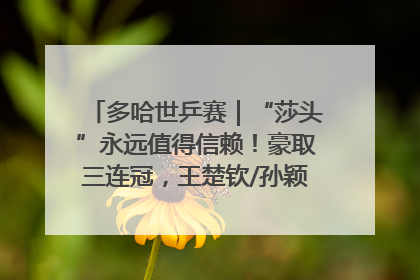 多哈世乒赛｜“莎头”永远值得信赖！豪取三连冠，王楚钦/孙颖莎就是最强混双