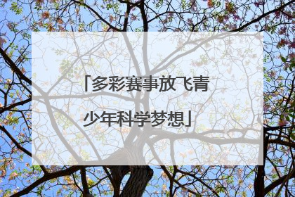 多彩赛事放飞青少年科学梦想